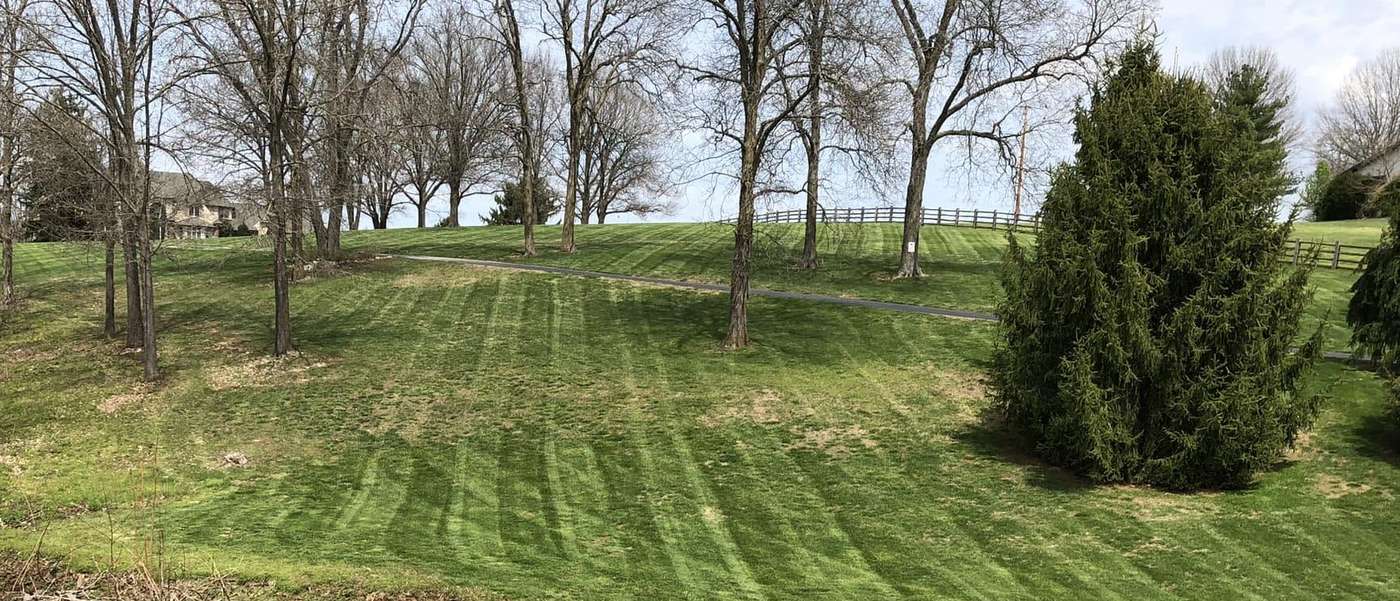Wide view of a large hillside lawn freshly mowed with straight stripes, trees and a rail fence behind